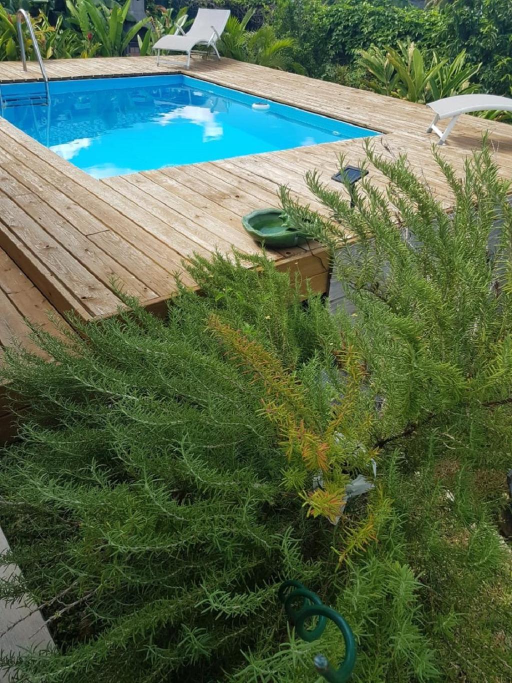 Studio Avec Piscine, A 3 Minutes A Pied Des Plages Sainte-Anne (Grande-Terre) Exterior foto