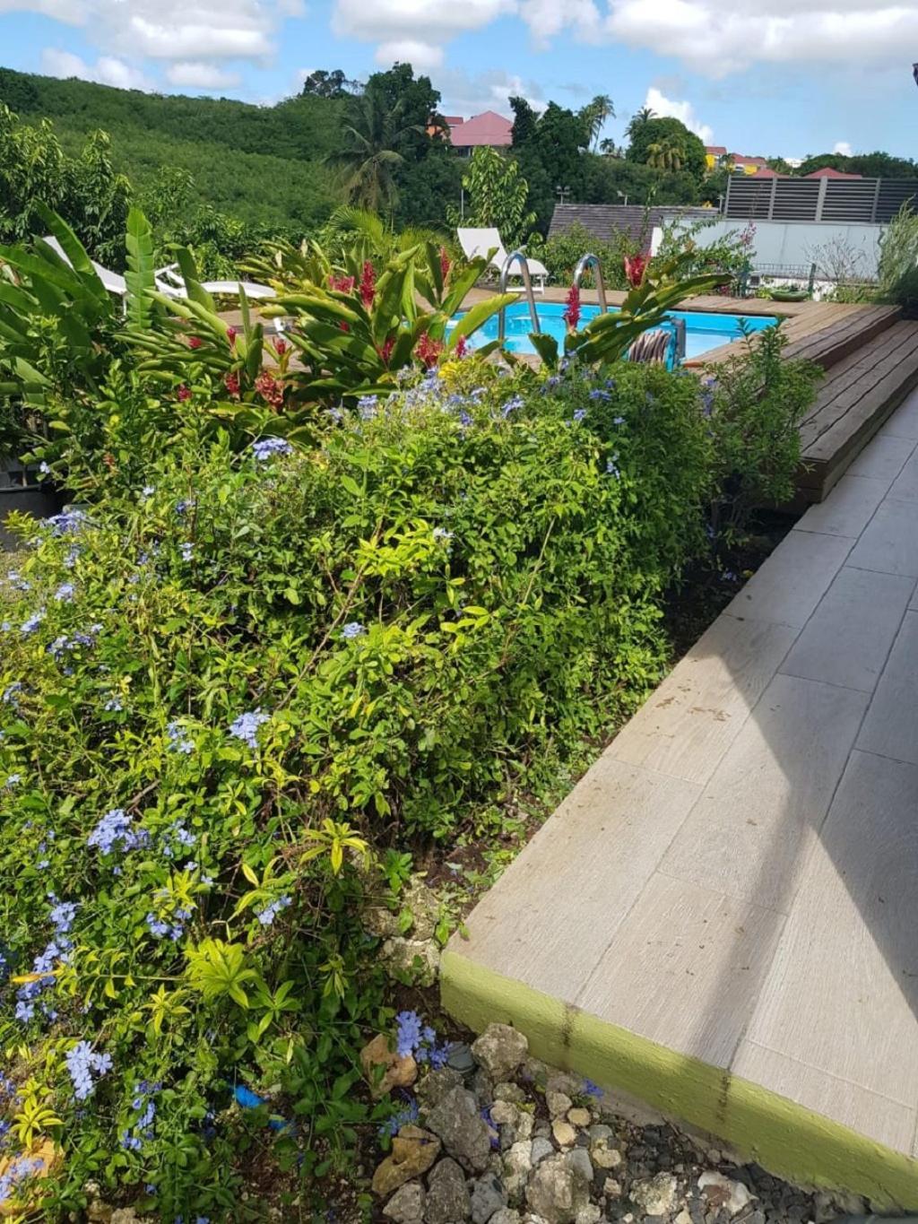 Studio Avec Piscine, A 3 Minutes A Pied Des Plages Sainte-Anne (Grande-Terre) Exterior foto