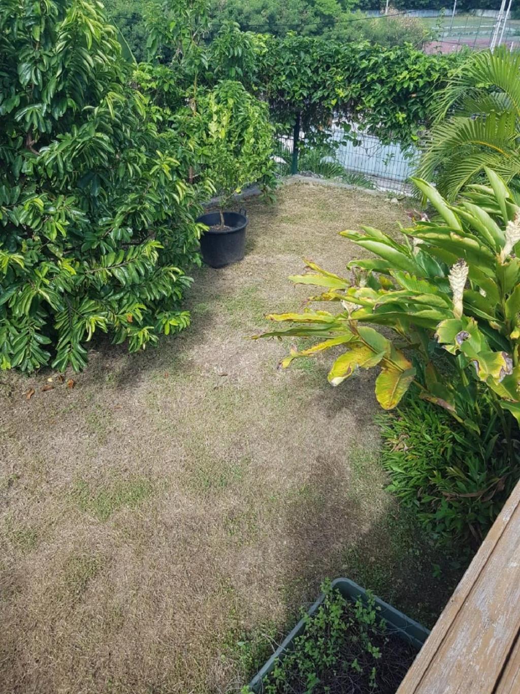 Studio Avec Piscine, A 3 Minutes A Pied Des Plages Sainte-Anne (Grande-Terre) Exterior foto