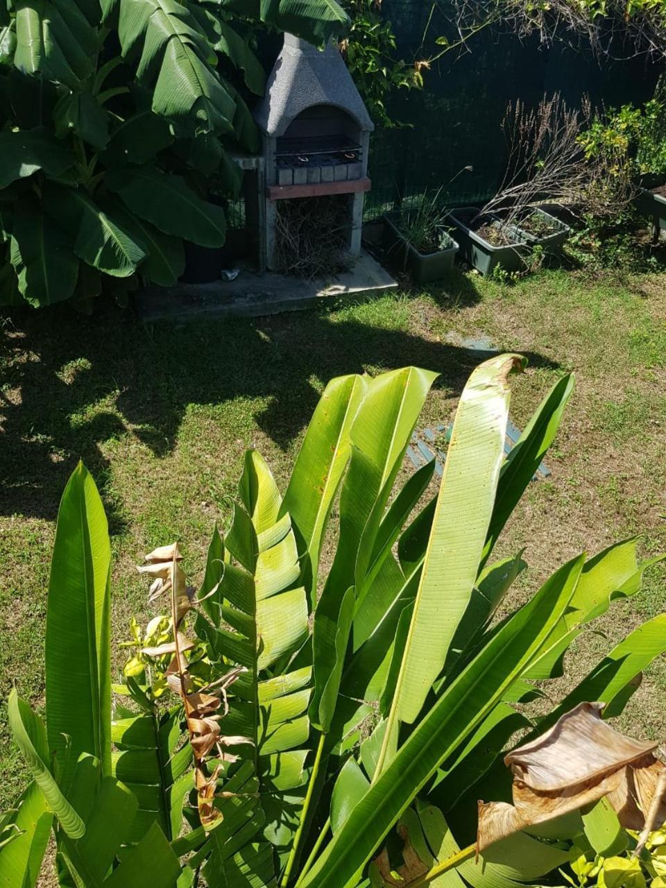Studio Avec Piscine, A 3 Minutes A Pied Des Plages Sainte-Anne (Grande-Terre) Exterior foto